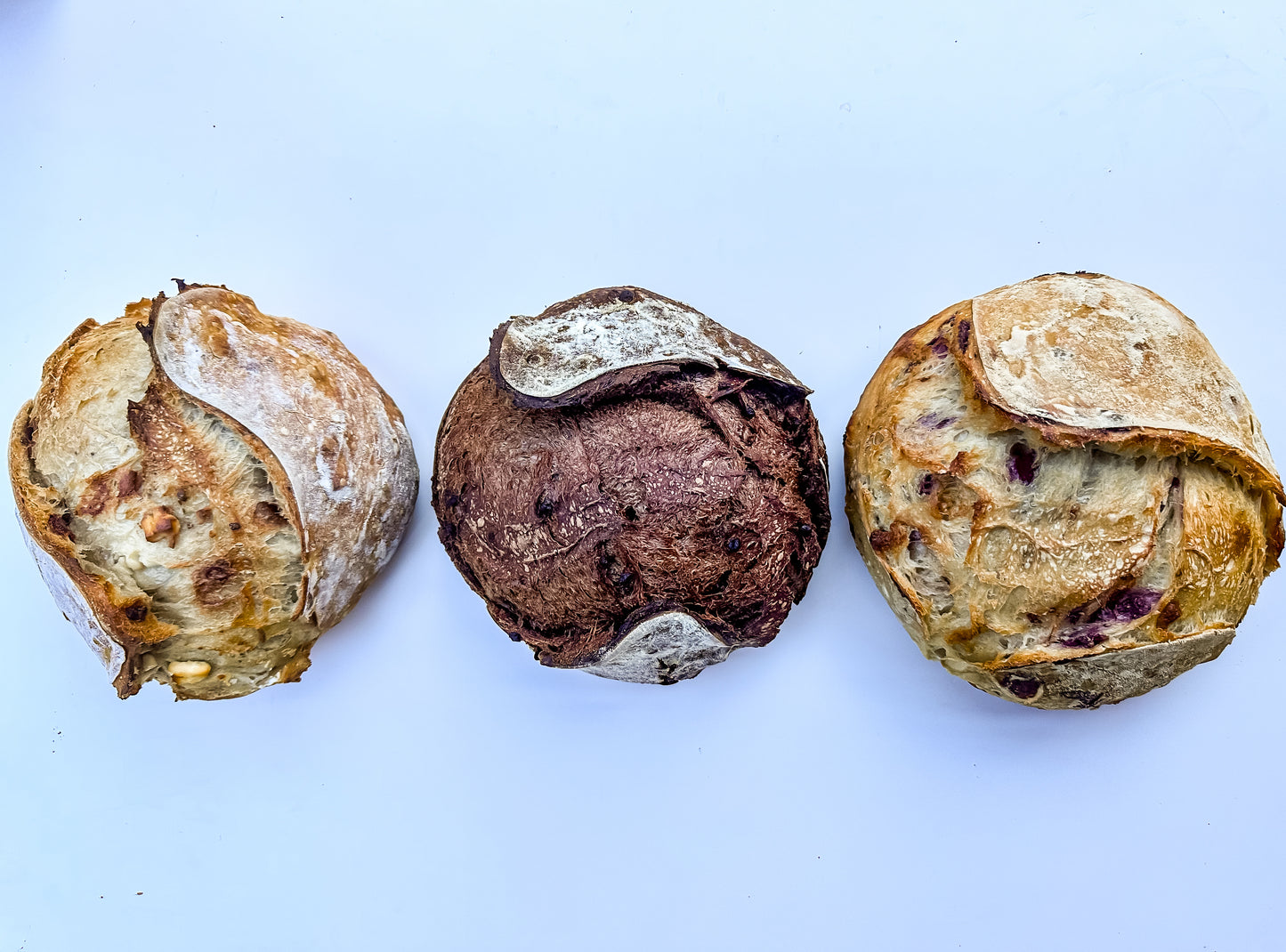 Artisan Sourdough Loaf | Multiple Flavors