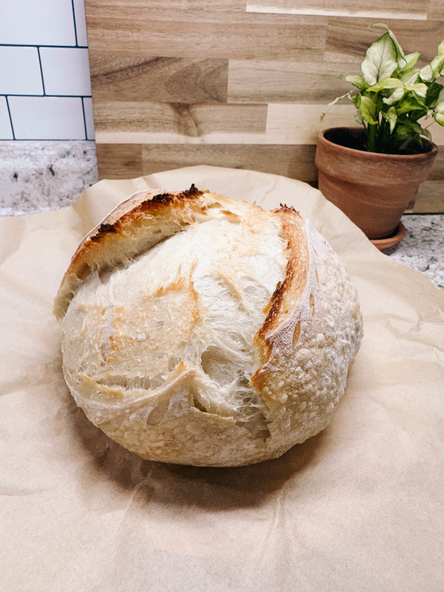 Artisan Sourdough Loaf