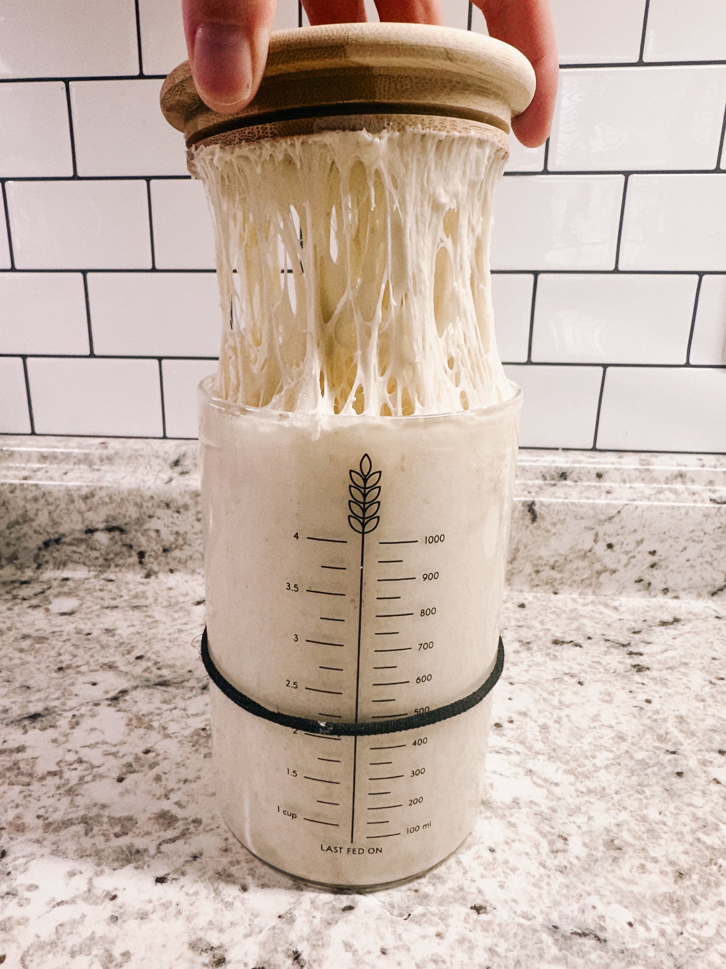 Active Sourdough Starter