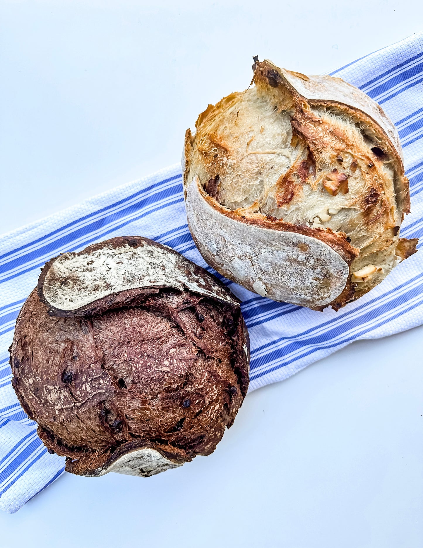 Artisan Sourdough Loaf | Multiple Flavors