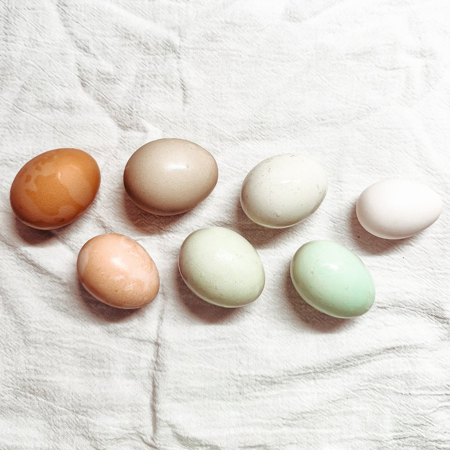 Eggs