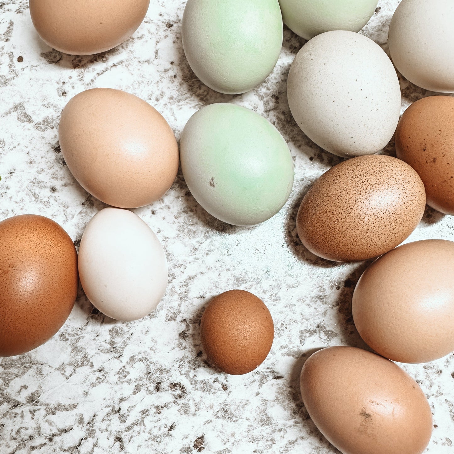 Eggs
