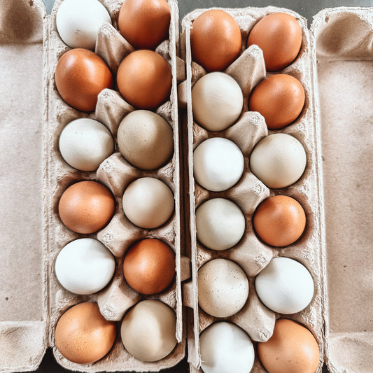 Eggs